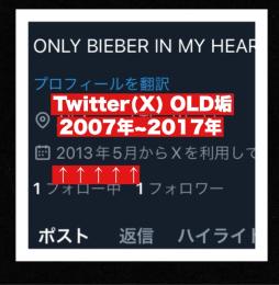 【🌟業界最安値🌟】Twitter(X)OLDアカウント×400 / シャドバン無し