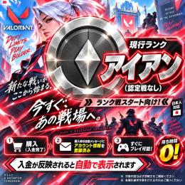 🌸即納🌸認定済みアイアン①🍁メアパス変更可🍁