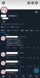 シャドウバン無し日本人高アクティブアカウント🎀固ツイいいね600↑