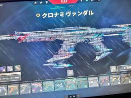 クロナミ　RGX 