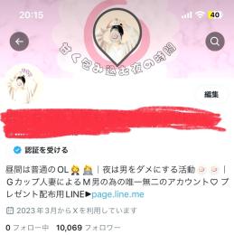 【大特価⭐️】Twitter(X) 優良ネカマ垢　アダアフィ（1ヶ月収益30〜35以上万円）