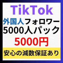 【5000人パック】TikTok外国人フォロワー5000人増加