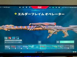 引退スキン大量垢　値下げ受け付けます