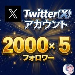 【2000フォロワー×5】10%OFFの限定セット販売！アクティブ垢