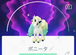 色違い ポニータx2 ポケモンgo ゲームクラブ