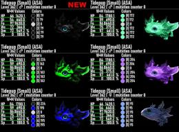 🟧RARE SUPPORT🆕タイドパップ 9/4🆙