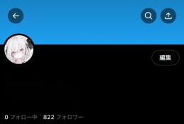 高アクティブ      日本人フォロワー800人越えアクティブアカウント