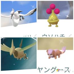 色違いオトシドリ ウソハチ ヤングース エアームド　アカウント販売