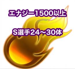 エナジー1500以上+S選手24～30体