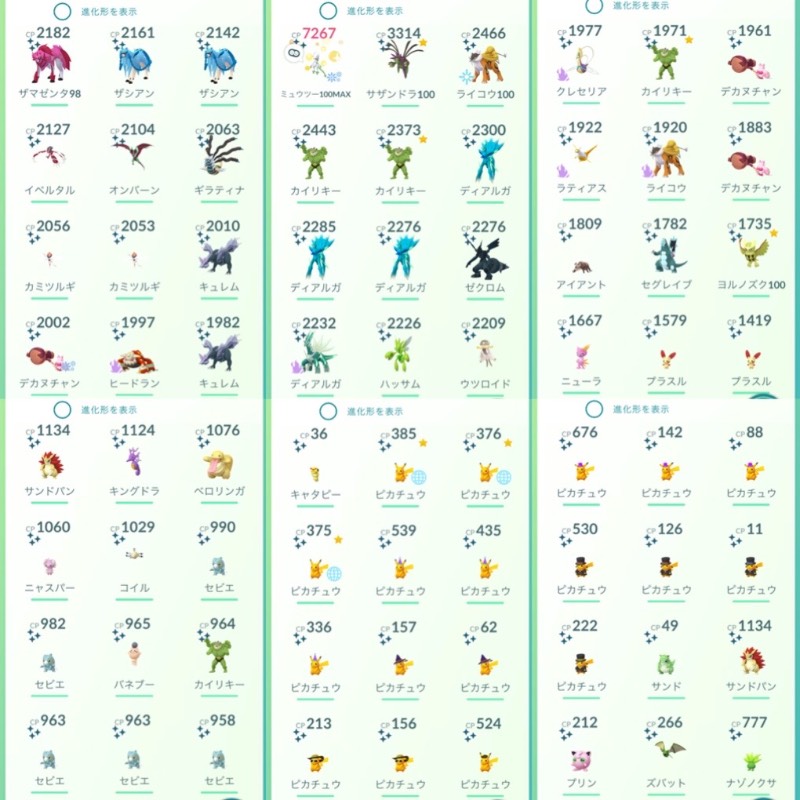 出品画像
