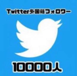 🔥限定価格🔥Twitter多国籍フォロワー10000人【最速最安値】