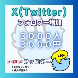 𝕏（Twitter）のアジア人🇯🇵🇭🇰🇰🇷フォロワー＋3000人増やします！【減少保証付】
