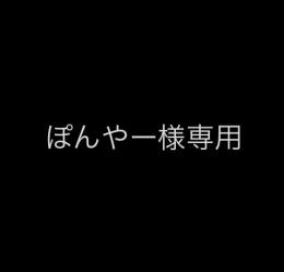ぽんやー様専用