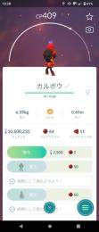 カルボウ　1体50円