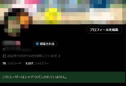 【Xアダアフィ/裏垢女子/夜職等】 ALL日本人5.527人 月1,000万インプ Xアカウント