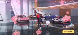 ピンマク神垢