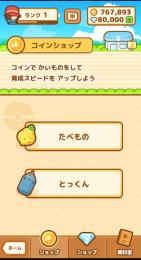 初心者向け　ダイヤ💎80000