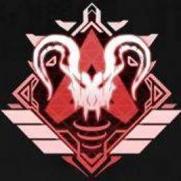 【実績集め中格安プラン】【PC/PS4】【業界最安値】代行＆バッジ取得