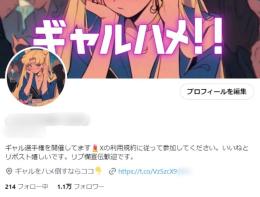 希少ギャル系【フォロワー1.1万人】アダルト・選手権系 / 高インプ / アフィ資料付き