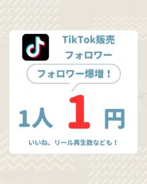 【5000人増加】TikTok　フォロワーいいね等各種増加(業界最高品質)