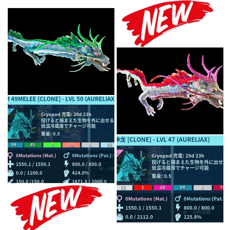 asaさま専用 RARE SUPPORT 🆕新恐竜:オーレリアックス【DM49p】12/27🆙｜ASA
