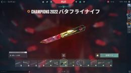 vct champion2022セットなどあり3万課金してます急ぎです