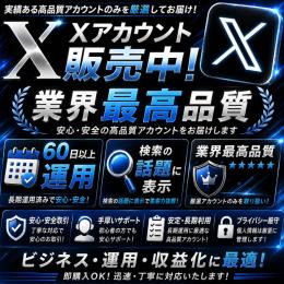 【60日以上運用】　高品質　確実に検索に載る　10個セット