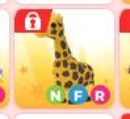 NFR GIRAFF