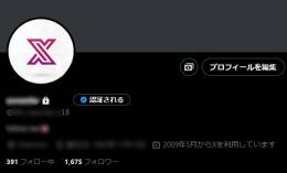 【タイムセール】フォロワー数1,675人 X垢 アダルト適正◯ 日本人99% 2009年製OLD