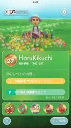 ピクミンブルーム