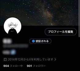 リアルフォロワー900↑ 大手裏垢男子垢 シャドウバン無し