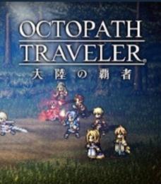 ルビー40000個以上+旅人の聖導印110個