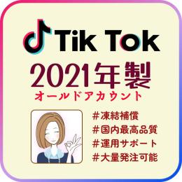 【2021年作成】TikTokオールド垢×2個(安心の凍結保証付き)