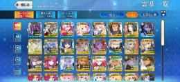 引退垢 モルガン オルガマリー 宝具5