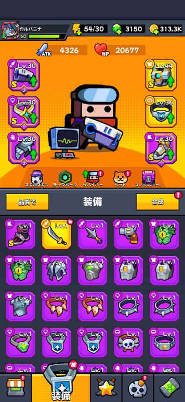 出品画像