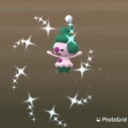 色違いマネネ ヤングース エネコ アカウント販売 ポケモンgo ゲームクラブ