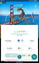 色違いロサンゼルス背景レックウザ‼️ 破格‼️