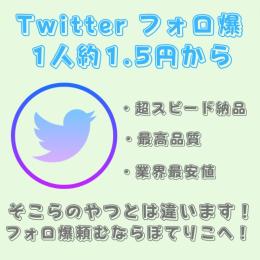 【業界最安値・最速】Twitterフォロ爆　1000人　高品質　スピード納品　⭐︎増加動画あり⭐︎