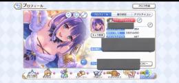 プリコネ 引退垢