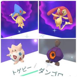 色違いエムリット アグノム トゲピー ダンゴロ アカウント販売