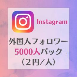 最安値＆減少保証付き！インスタグラム多国籍フォロワー増加サービス（5000人パック）