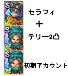 テリー2凸＋セラフィ＋Sランクモンスター多数 初期アカウント