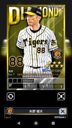 輝監督50枚セット