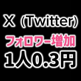 X（Twitter）フォロワー10,000人以上増加✨業界最安値✅保証あり✅