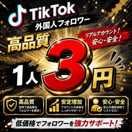🎤高品質✨️👤TikTok多国籍フォロワー1人3円〜減少補償あり！！