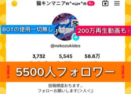 ❗BOT無し❗自力で増やした5000人アカウント😊