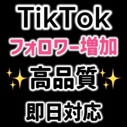 【即日対応】TikTokフォロワー300人以上増加✨
