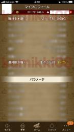 ドラクエ10　1億ゴールド　完全個人職人生産
