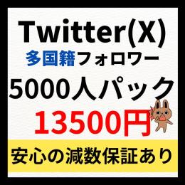 Twitter(X)多国籍フォロワー5000人増やします！　振り分け可能