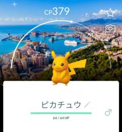✨色違いピカチュウスベインマラガ背景付き！🎉🎉